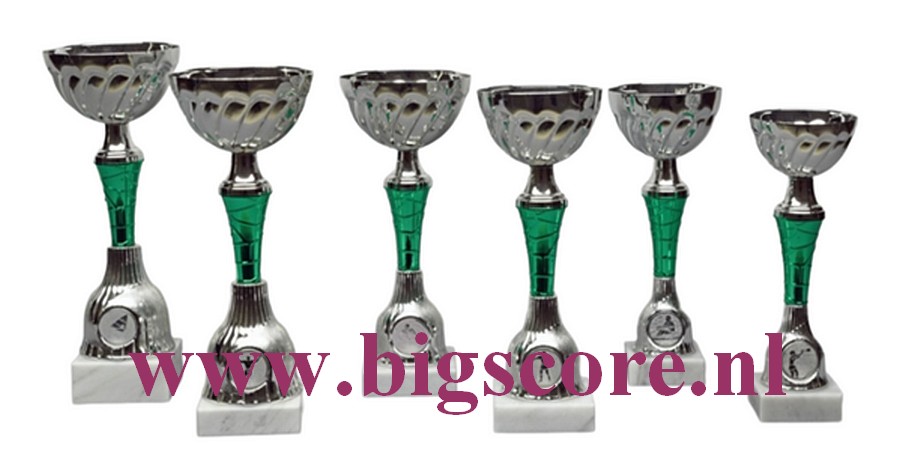 Z 613 Beker Groen-Zilver 6 Delig